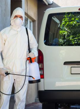 Atendimento de emergência em dedetização e desentupimento