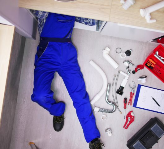 Importância da dedetização e desentupimento para saúde e segurança