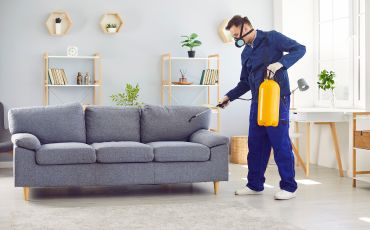 Desinsetização profissional em São Paulo - TMT Dedetizadora