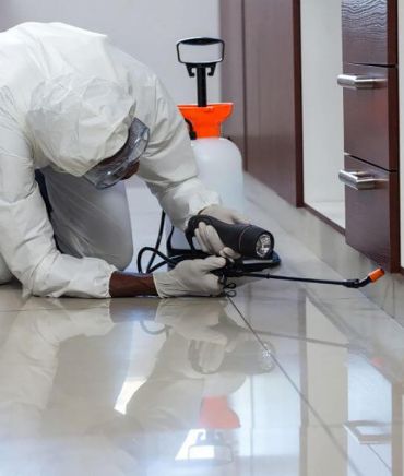 Profissionais da TMT Dedetizadora