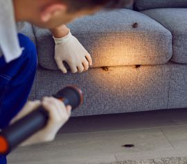 Desinsetização TMT